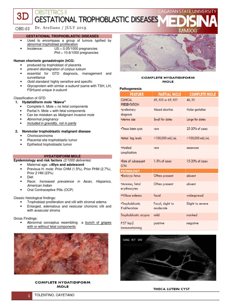 Gestational Trophoblastic Diseases: Obstetrics Ii | PDF | Human ...
