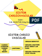 Cardiovascular 4