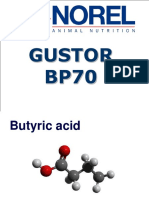 Gustor_BP70_Layers_ppt