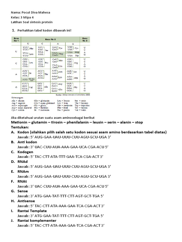Latihan Soal Sintesis Protein Kelas 12 | PDF