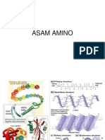 5_6 ASAM AMINO_PROTEIN