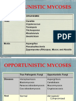 Opportunistic Mycoses: Classification Organisms Yeast