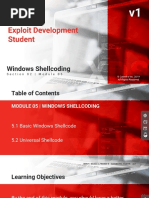 250 - Windows Shellcoding