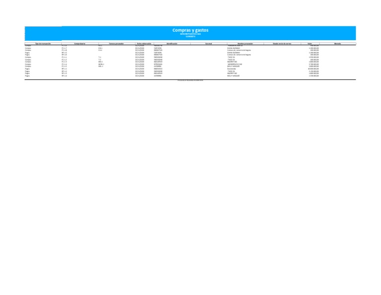 Compras y Gastos | PDF | Tecnología financiera | Finanzas y dinero