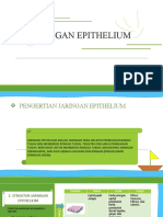 Jaringan Epithelium