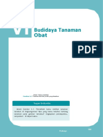 Budidaya Tanaman Obat-Dikonversi