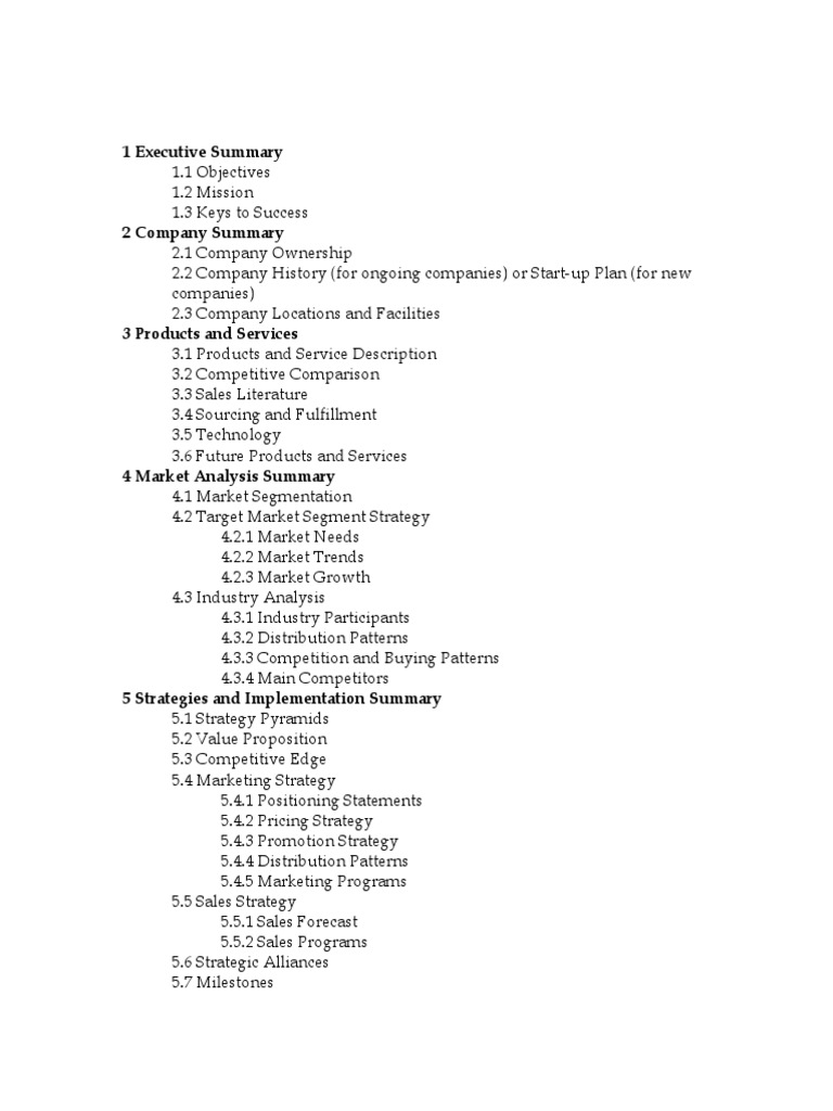 Comprehensive Business Plan Overview | PDF