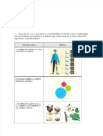 pdf-caracteristicas-imagen-1-su-composicion-quimica-esta-basada