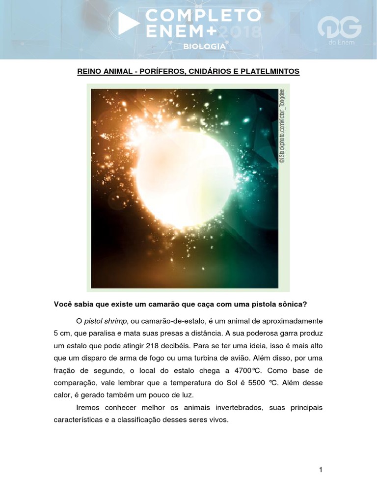 Reino Animal - Poríferos, Cnidários e Platelmintos | PDF | Esponja |  Nematoda, image size:768x1024