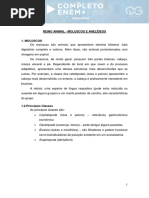 Reino Animal - Moluscos e Anelídeos