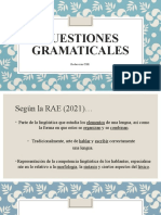 Cuestiones Gramaticales