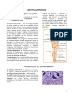 Anatomia Del Sistema Nervioso (Guã - A Resumen)