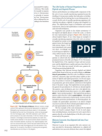 The Life Cycles of Sexual Organisms Have Diploid and Haploid Phases