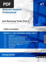 Malware Analysis Professional: Anti-Reversing Tricks: Part 3