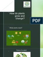 How Do Plants Grow and Change
