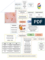 Main Map Tifoid Abdominalis