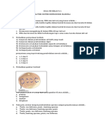 SOAL UH KELAS 9 - Sistem Reproduksi 1-10 Soal