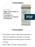 Transcription 