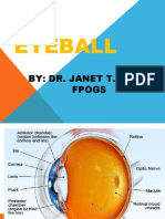Eyeball: By: Dr. Janet T. Asoy, Fpogs