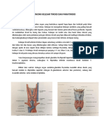 Anatonomi Kelejar Tiroid Dan Paratiroid