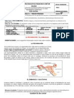 Guia 1 Biología 8° - 3er Periodo