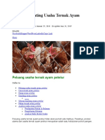 7 Analisa Penting Usaha Ternak Ayam Petelur