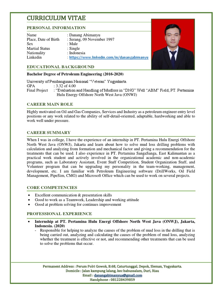 Danang Abimanyu's Petroleum CV | PDF | Energy And Resource | Nature