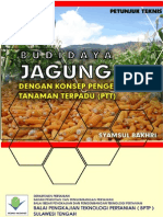 07 Juknis Jagung