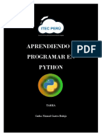 Tarea N°1 - Python