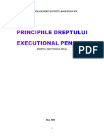 Principiile Drep Executional Penal