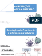 Aula 3 - Manifestações Celulares À Agressão