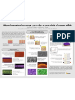 101006d Symposium Poster