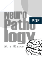 Neuropathology at A Glance