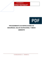 PROCEDIMIENTO DE INSPECCIONES HSE Ejecutores