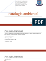 Patologia Ambiental 17.2