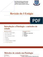 Revisão Do I Estágio