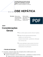 Cirrose Hepática-17.2