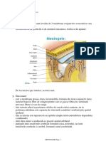 5. Meningele