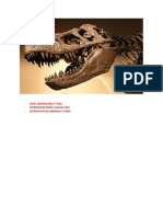 Fosil Dinosaurus T