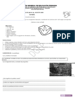 MM 5° Grado Remediales