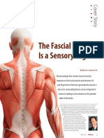 The Fascial System Is Sensory Organ