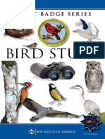 Bird Study: STEM-Based