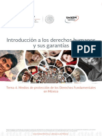 Introducción A Los Derechos Humanos y Sus Garantías: Tema 4. Medios de Protección de Los Derechos Fundamentales en México