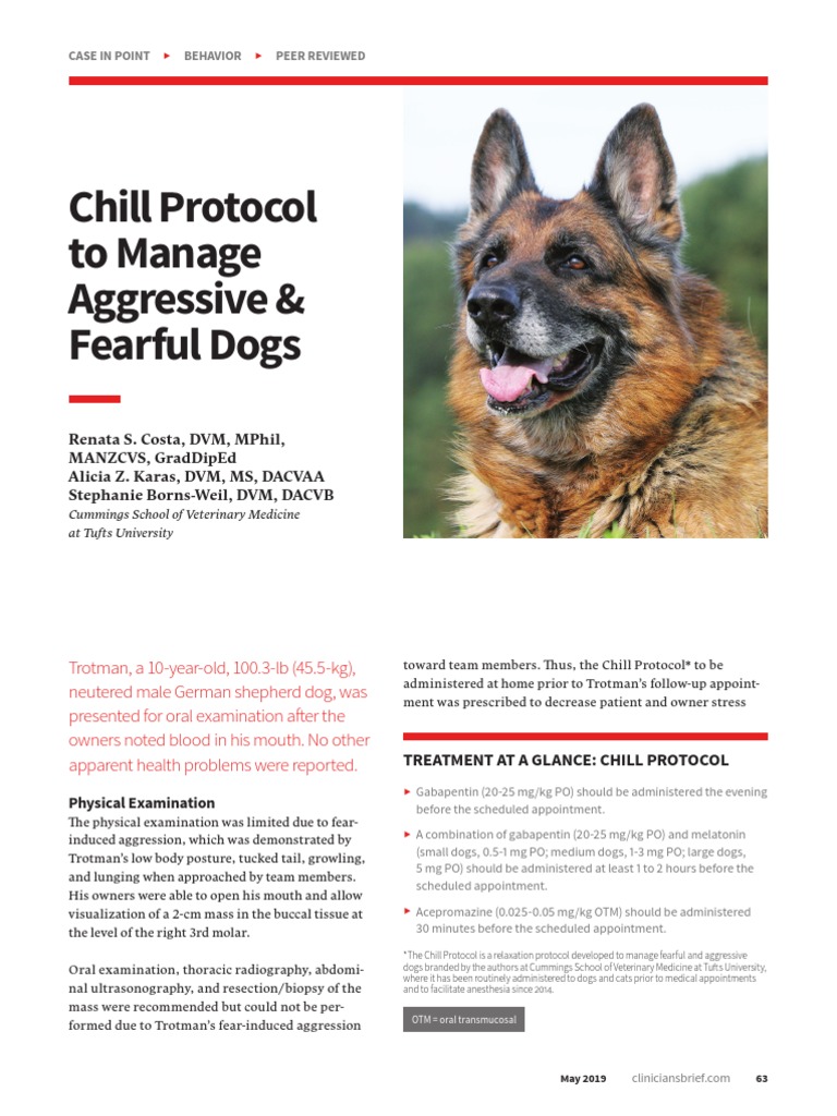 Chill protogol to manage aggressive fearful dogs pdf anesthesia