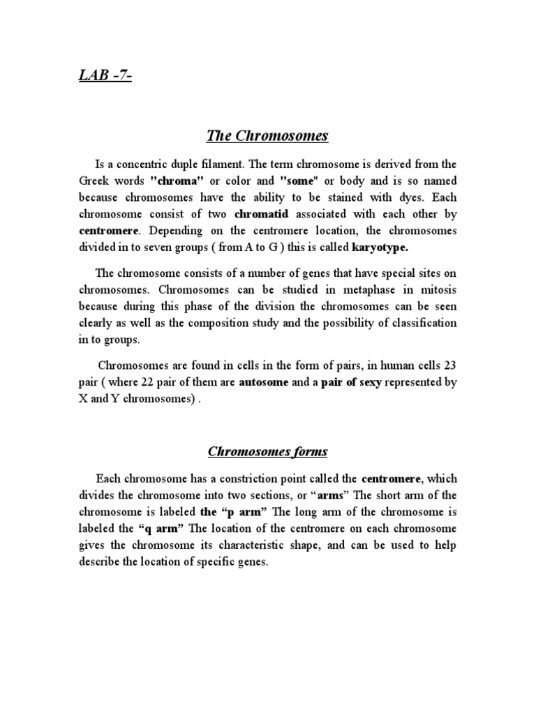 Centromere. Depending On The Centromere Location, The Chromosomes | PDF ...