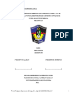 Asuhan Keperawatan Keluarga - Ulfa Widiya Ningsih - 14420191061