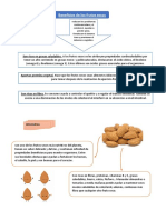 Beneficios de Los Frutos Secos