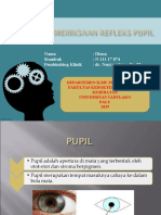 Refleks Pupil