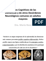 Favaloro Neurociencias Clase19
