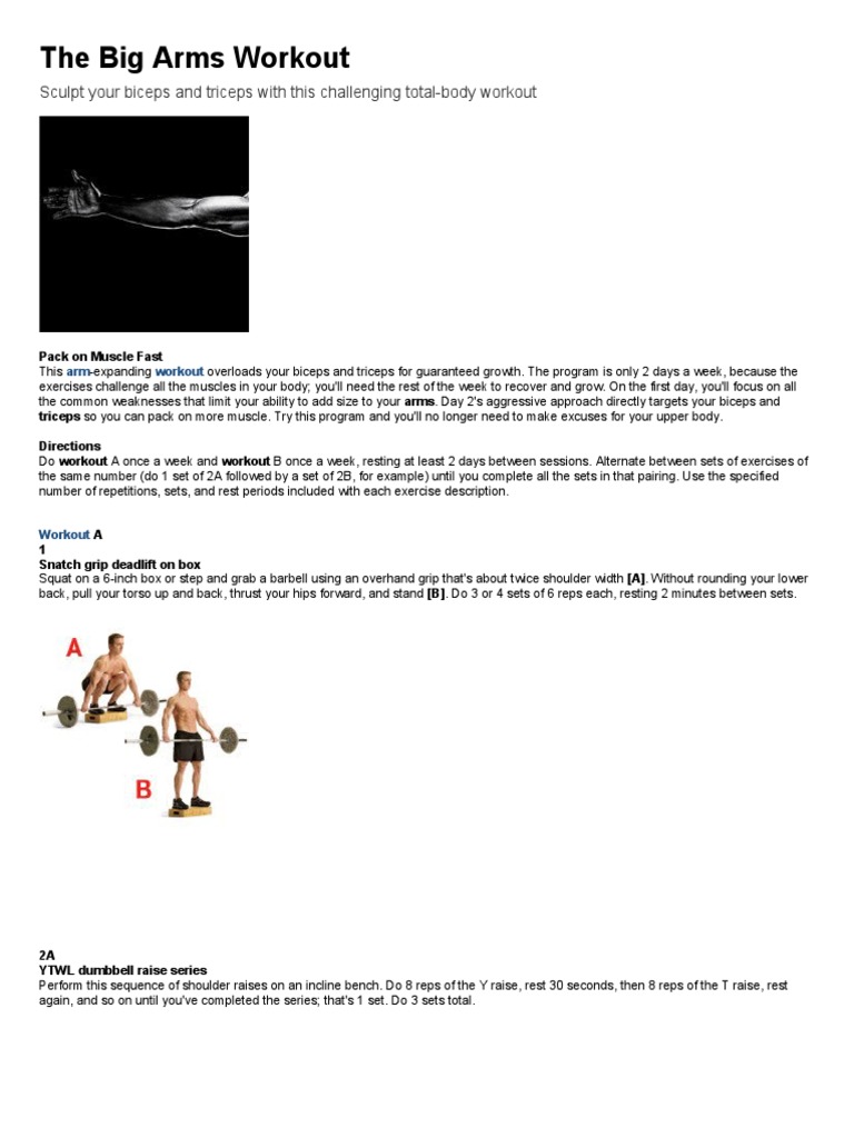 The Big Arms Workout PDF Arm Musculoskeletal System